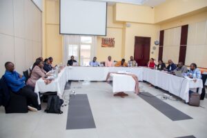 Read more about the article Workshop presenting initial findings of the FSM Action Research Project